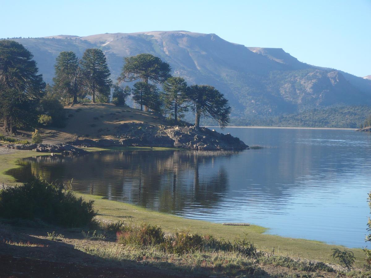 Milagros De Montana Villa Pehuenia